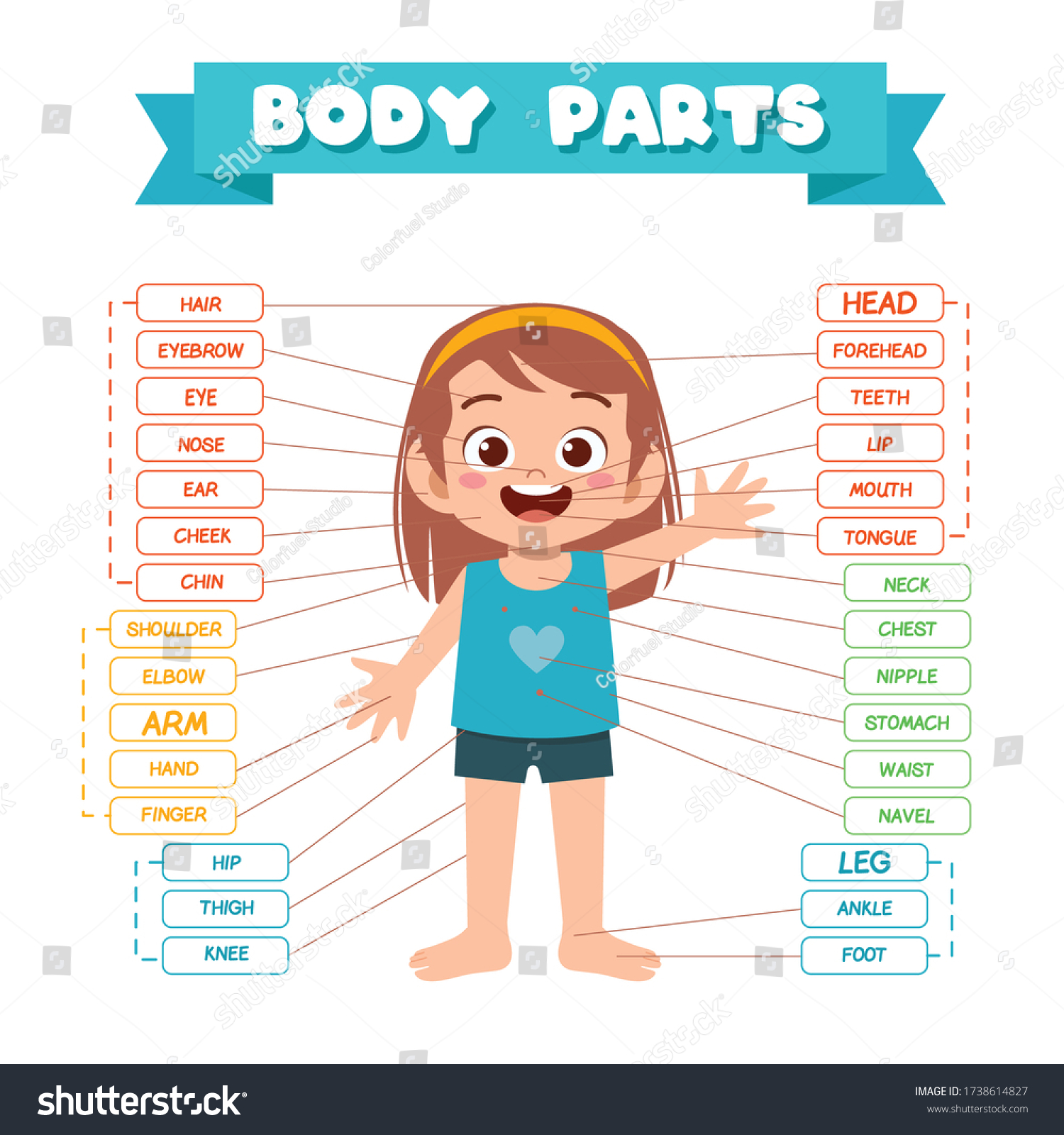 Happy Cute Kid Girl Body Part Stock Vector (Royalty Free) 1738614827