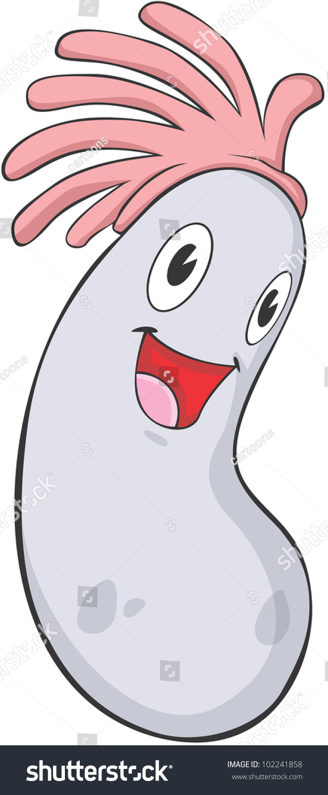 Happy Sea Cucumber Cartoon Stock Vector Illustration 102241858 ...