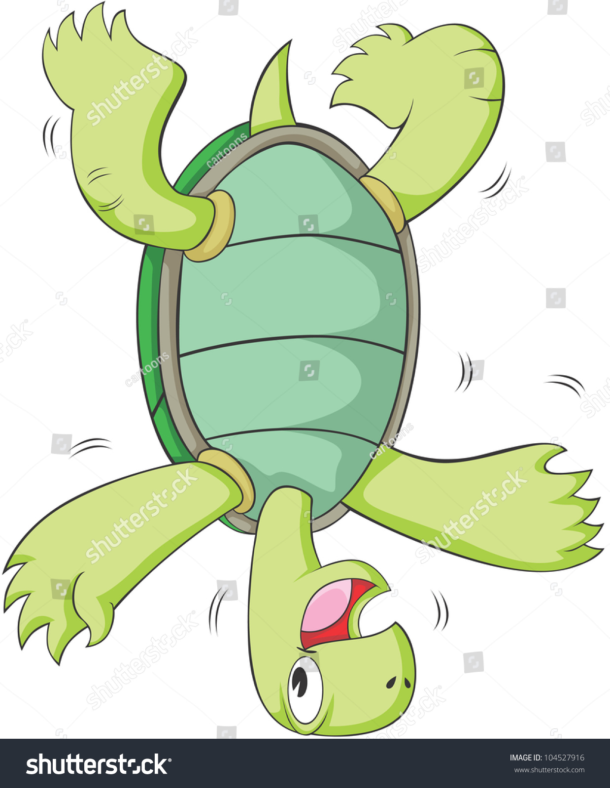 Spinner Turtle 