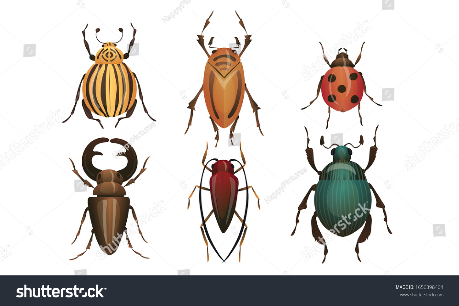 SVG of Hard-winged Bugs and Insects Isolated on White Background Vector Set svg