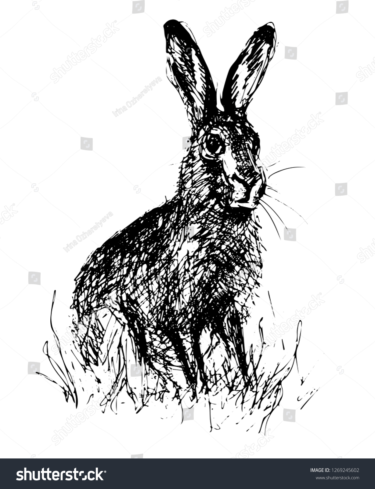 Hare Line Drawing Stock Vector (Royalty Free) 1269245602