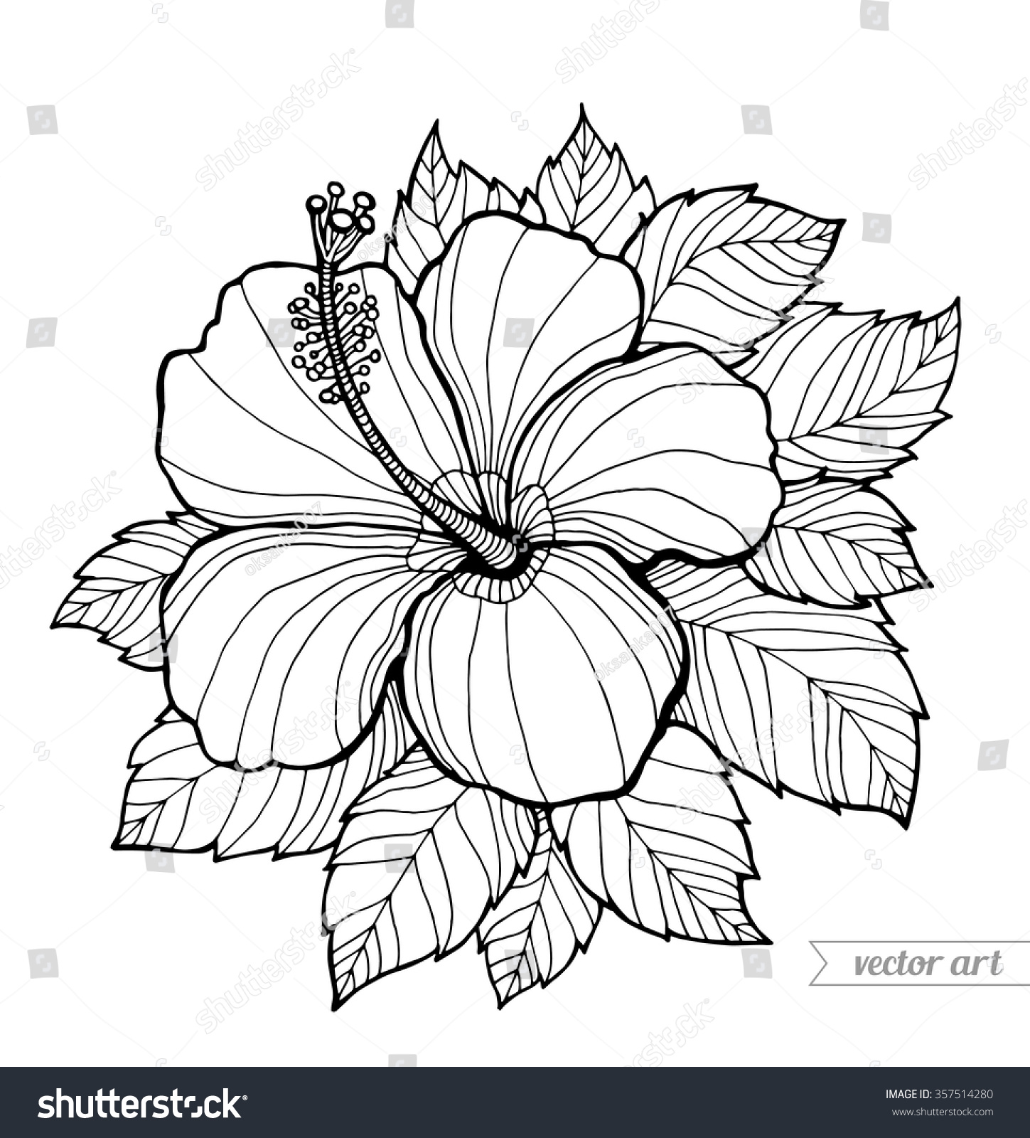 Hawaii Hibiscus Flower Leaf Aloha Hawaii Stock Vector ...