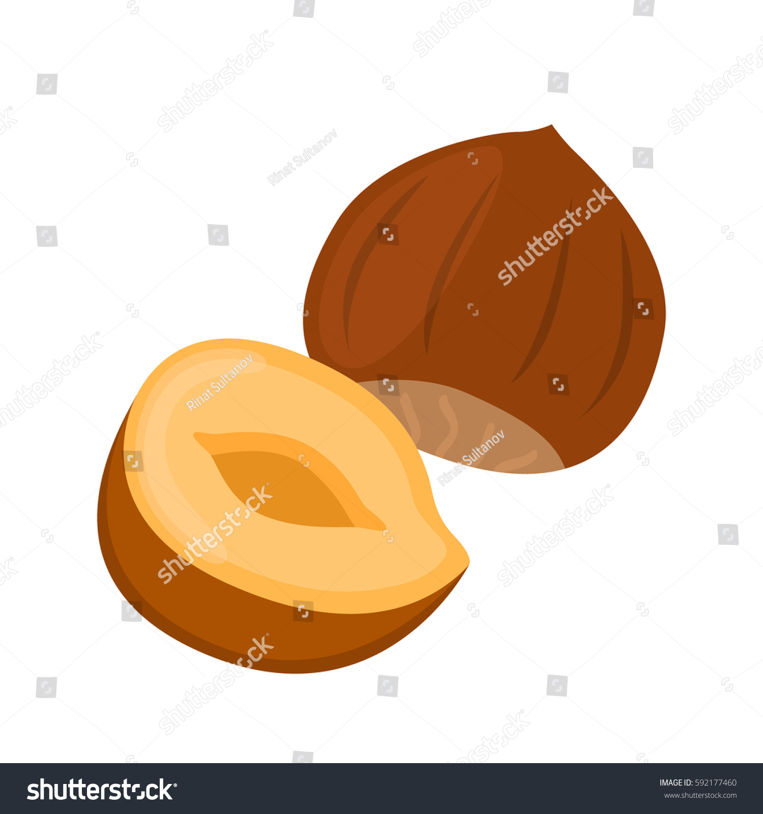 Hazelnut Flat Cartoon Style Forest Natural Stock Vector 592177460 ...