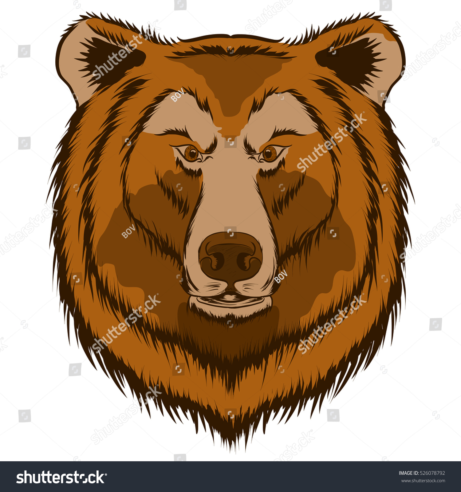 Head Of Bear Isolated On White Background. Stock Vector 526078792