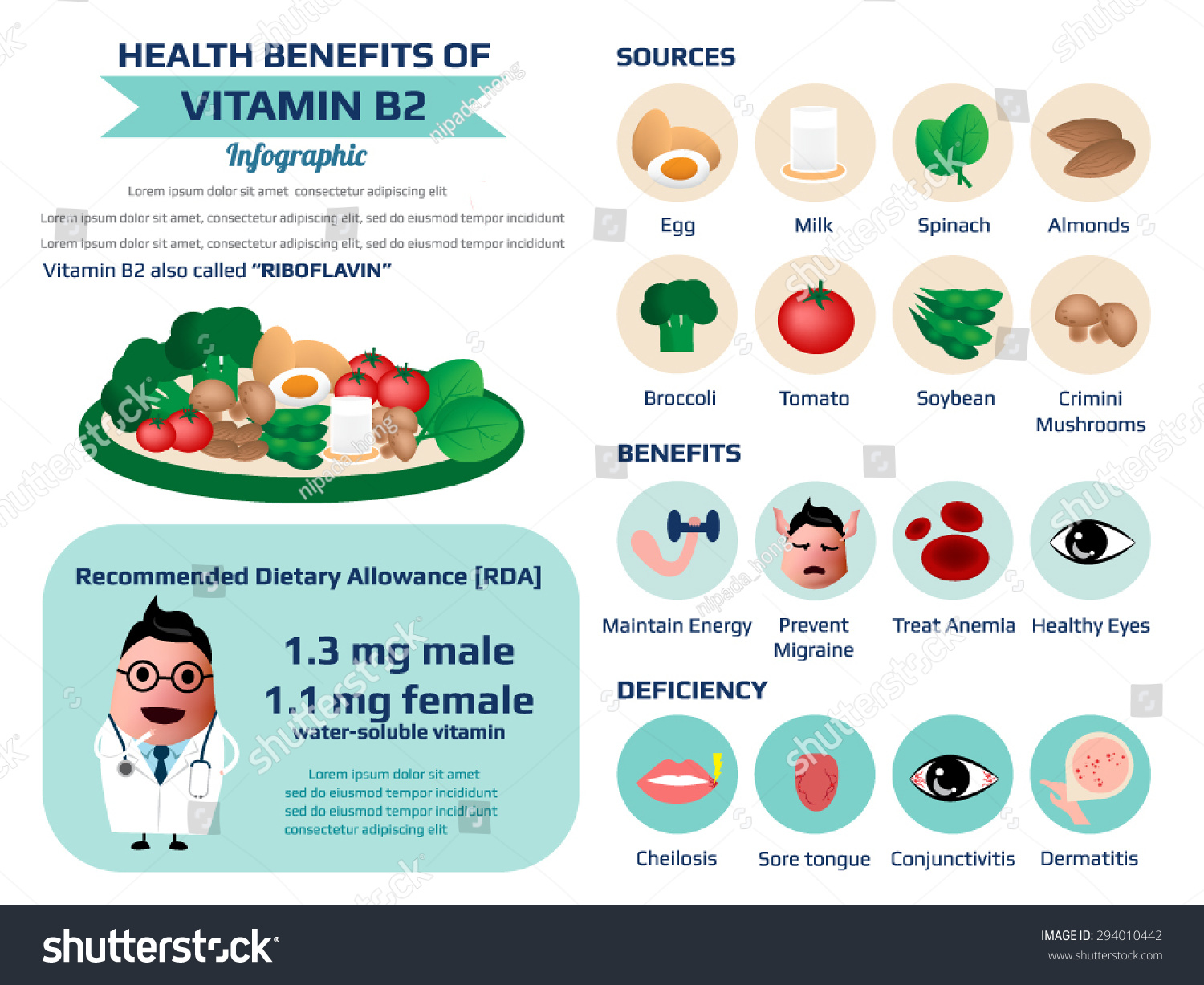 Health Benefits Information Vitamin B2 Riboflavin Stock Vector ...