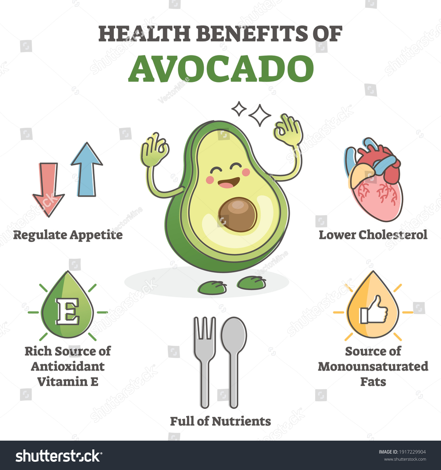 Avocado benefits 2 524 images, photos et images vectorielles de stock