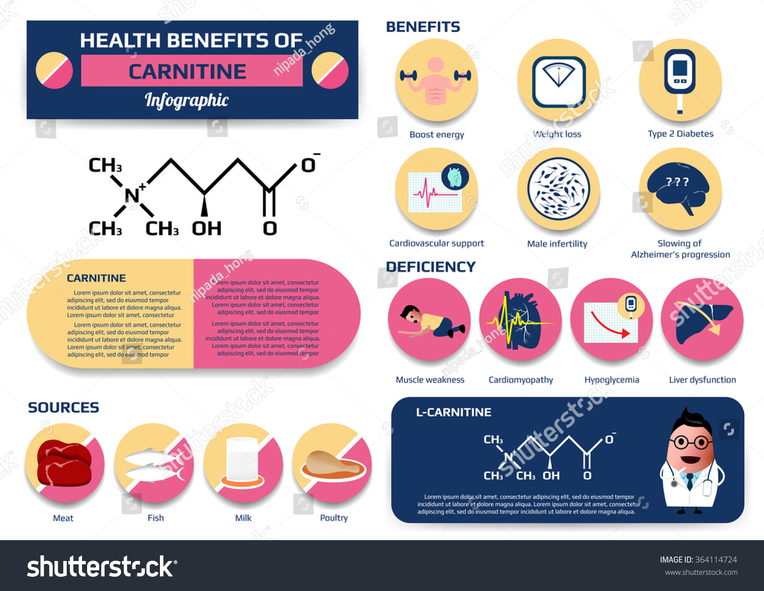 Health Benefits Of Carnitine Infographic Including Of Deficiency And ...