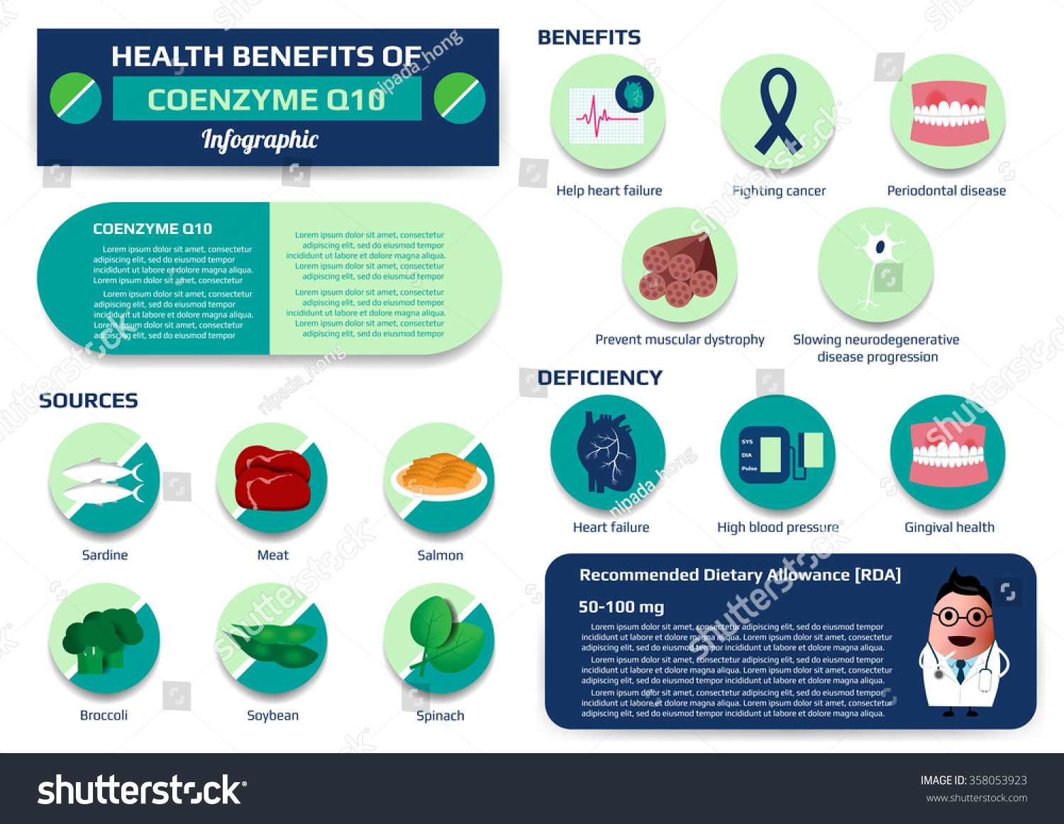 Health Benefits Coenzyme Q10 Infographic Including Stock Vector ...