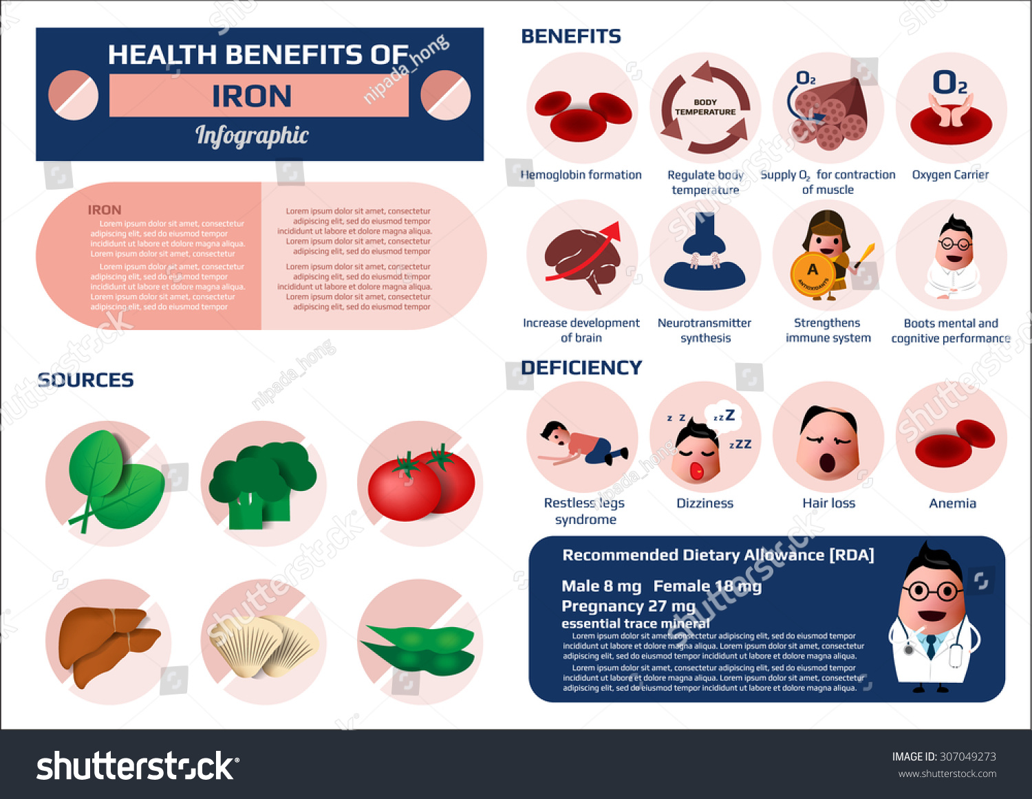 SVG of health benefits of iron or ferrous supplement infographic, vector illustration. svg