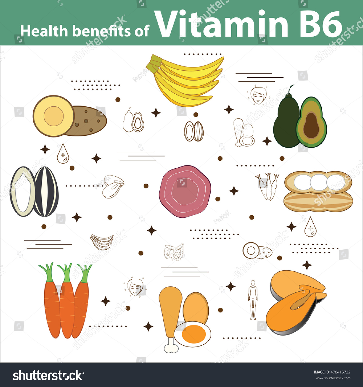 Health Benefits Vitamin B6 Stock Vector Royalty Free 478415722