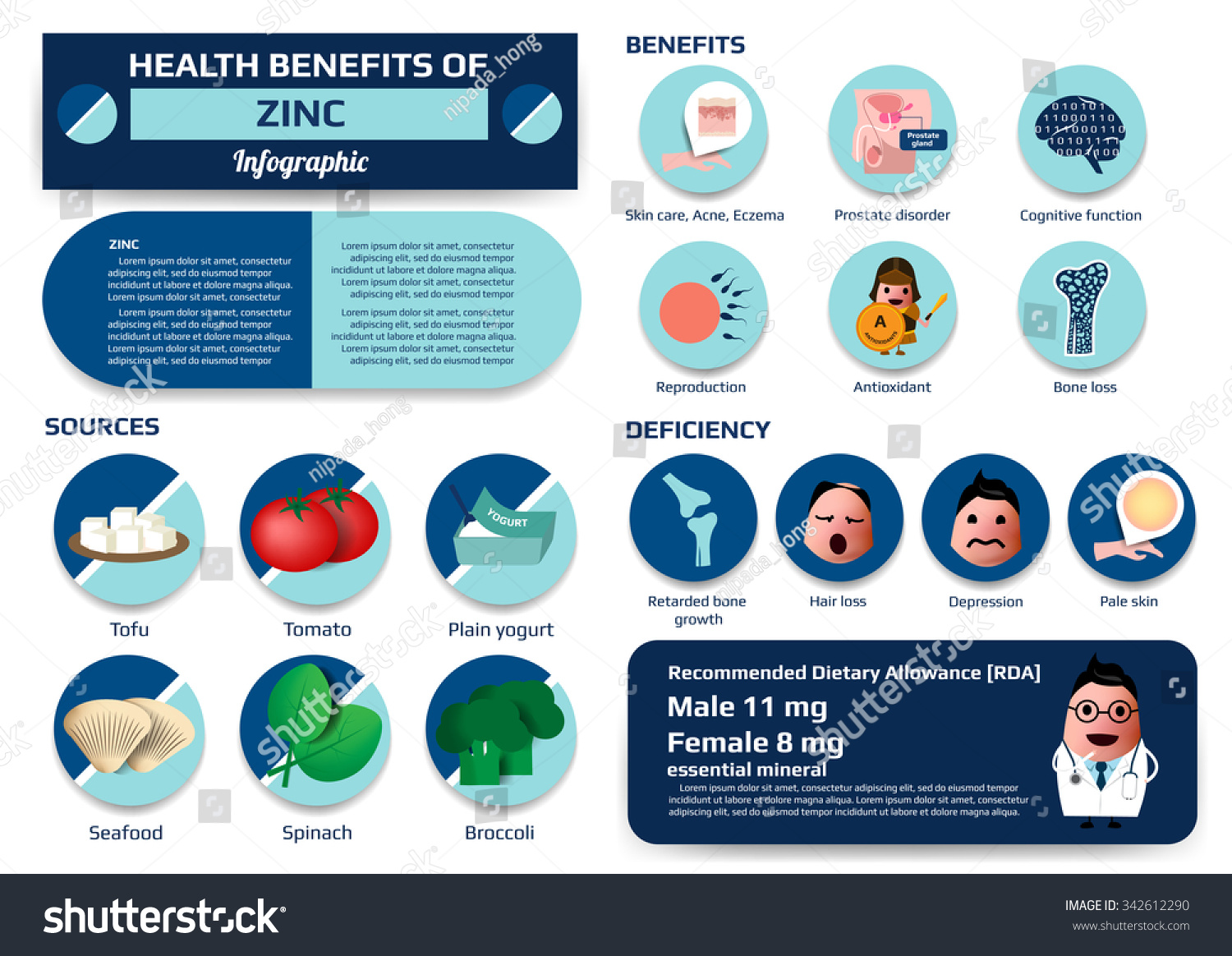 Health Benefits Zinc Mineral Supplement Vector Stock Vector 342612290