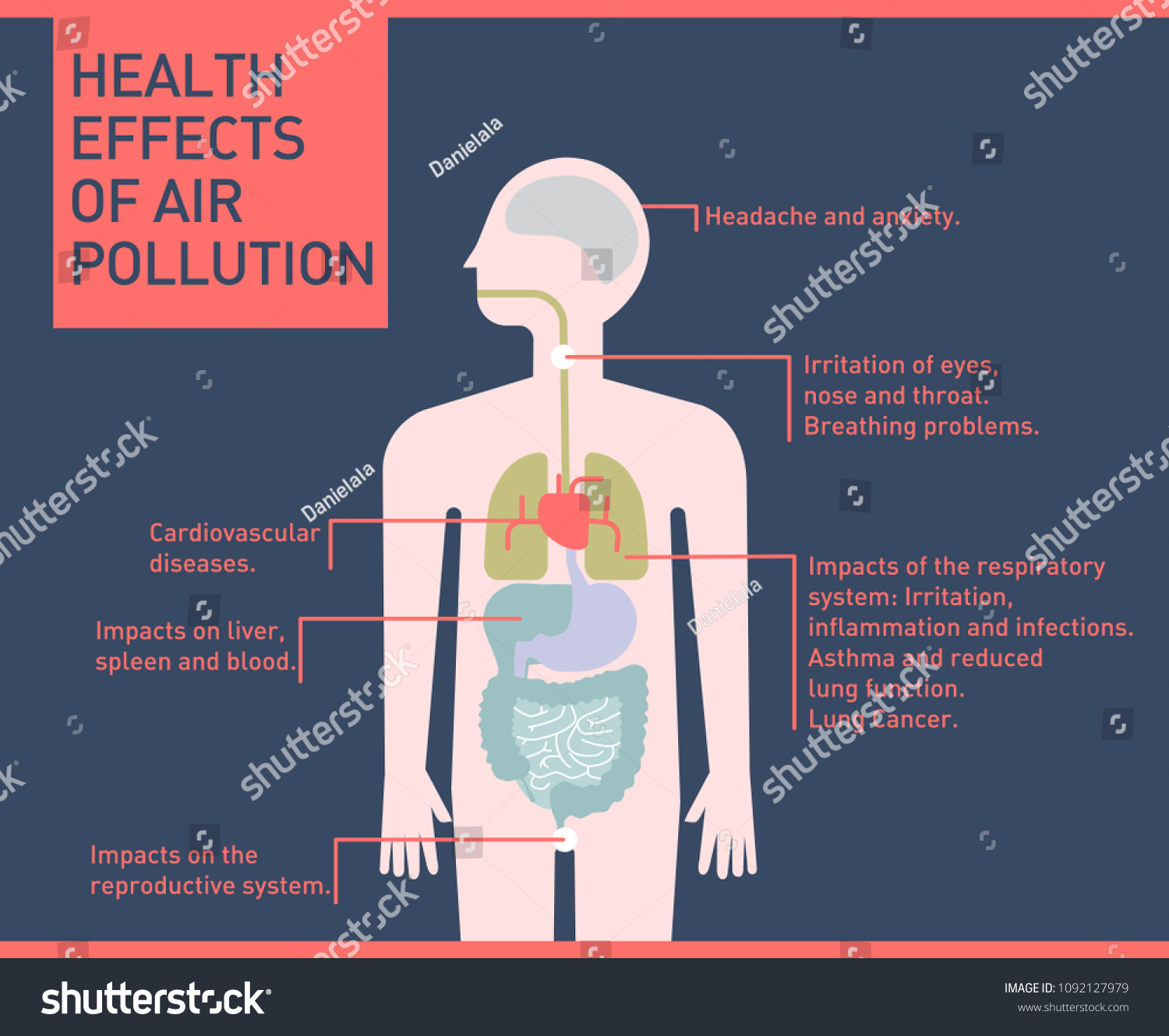 air pollution and its effects on human health essay