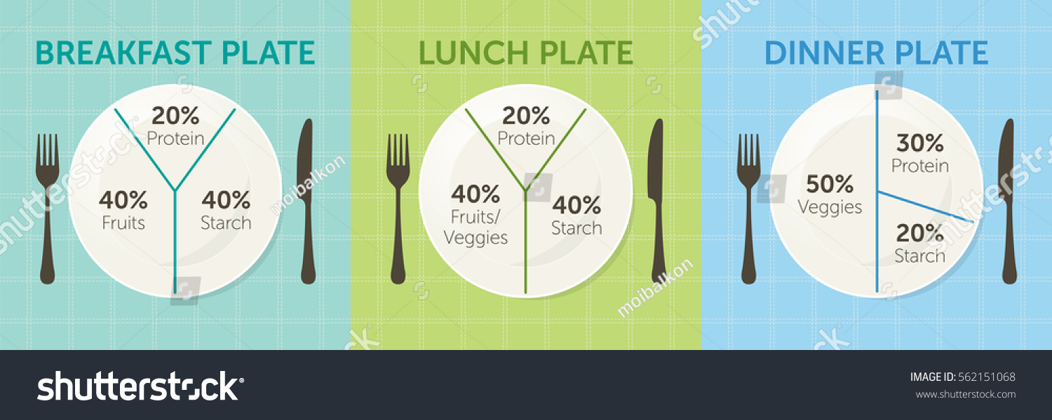Healthy Eating Plate Diagram Breakfast Lunch Stock Vector Royalty Free 562151068