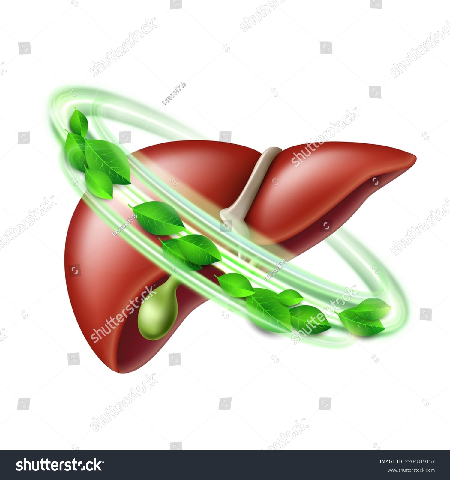SVG of Healthy human liver in green protective circle with leaves. Health care and healthy food concept. Vector illustration isolated on white background svg
