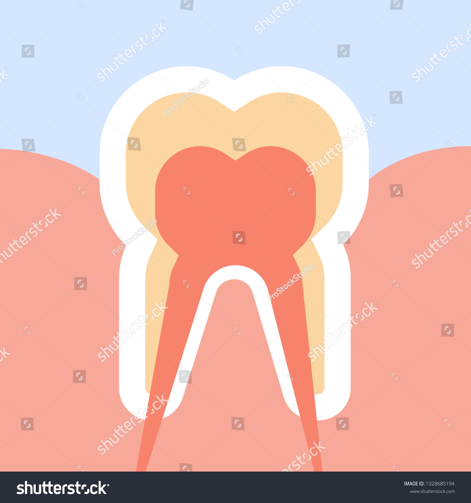 Healthy Human Tooth Cut Nerves Endings Stock Vector (Royalty Free ...