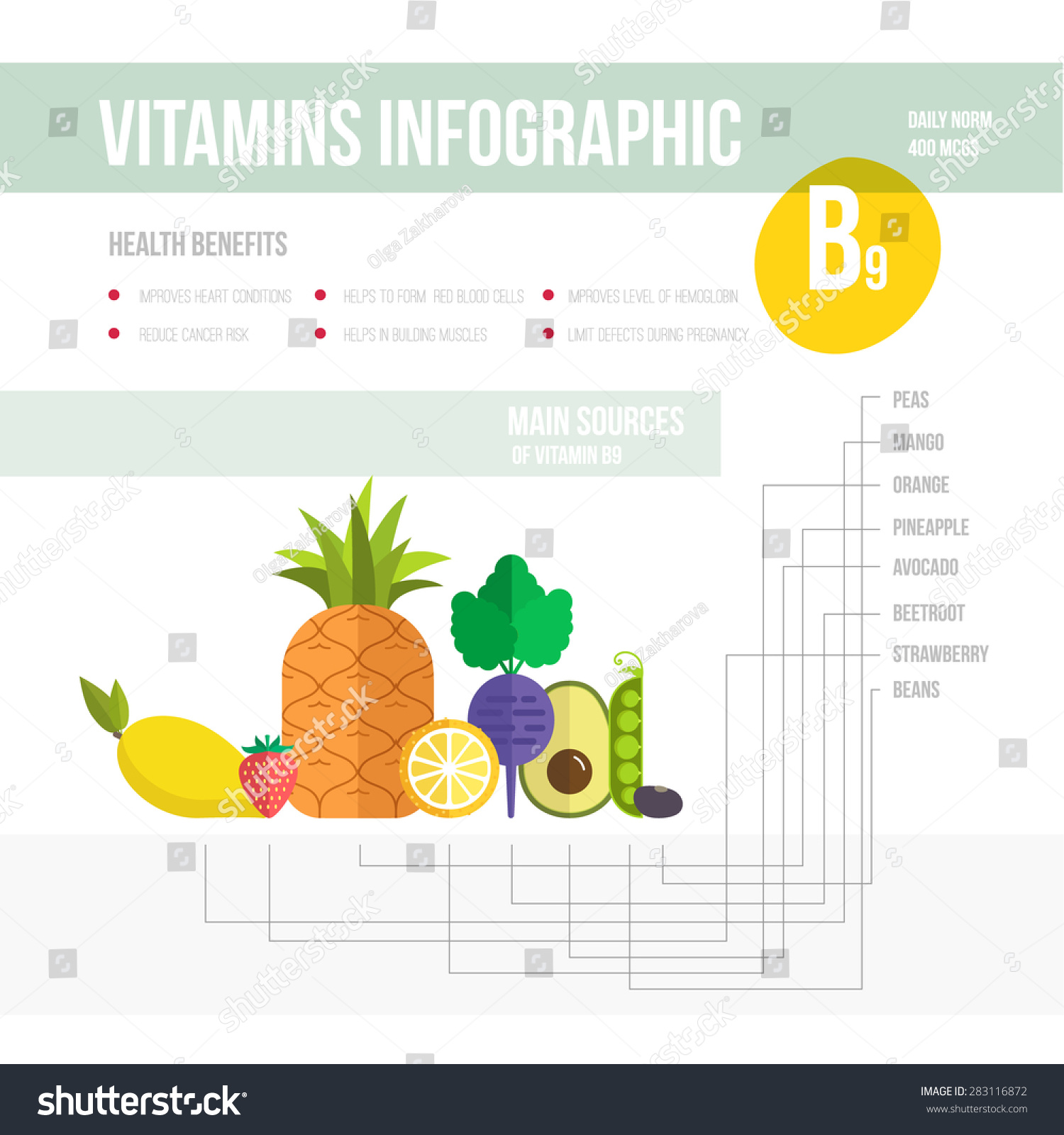 Sandalen pad Schaduw Healthy Lifestyle Infographic Vitamine B9 Fruits Stock Vector (Royalty  Free) 283116872