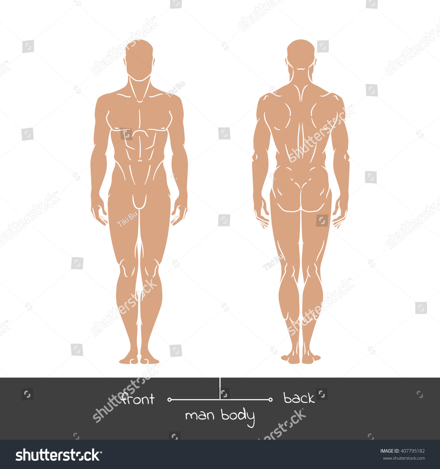 Featured image of post Male Back Outline You can easily outline text in photoshop by adjusting its stroke which is one of the many ways you can customize you can outline text in photoshop so that it stands out when placed over an image