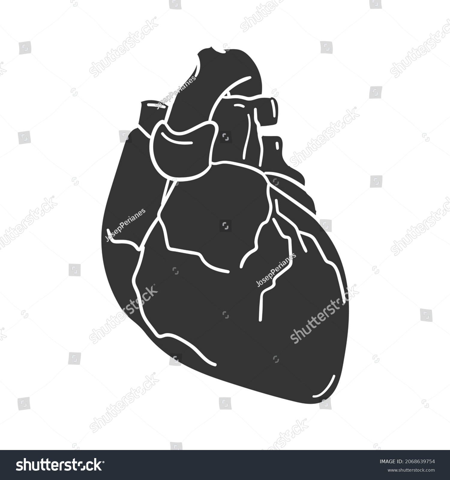 Heart Icon Silhouette Illustration Human Anatomy Stock Vector (Royalty