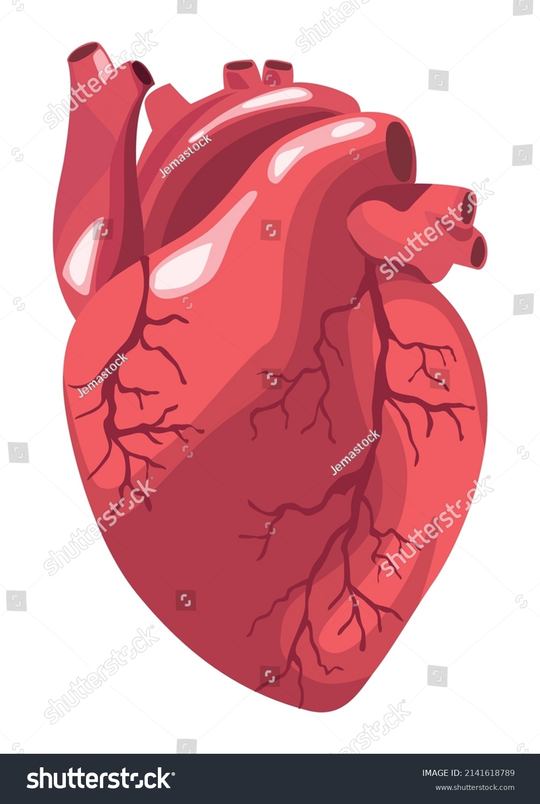 Heart Realistic Organ Human Icon Stock Vector (Royalty Free) 2141618789 ...