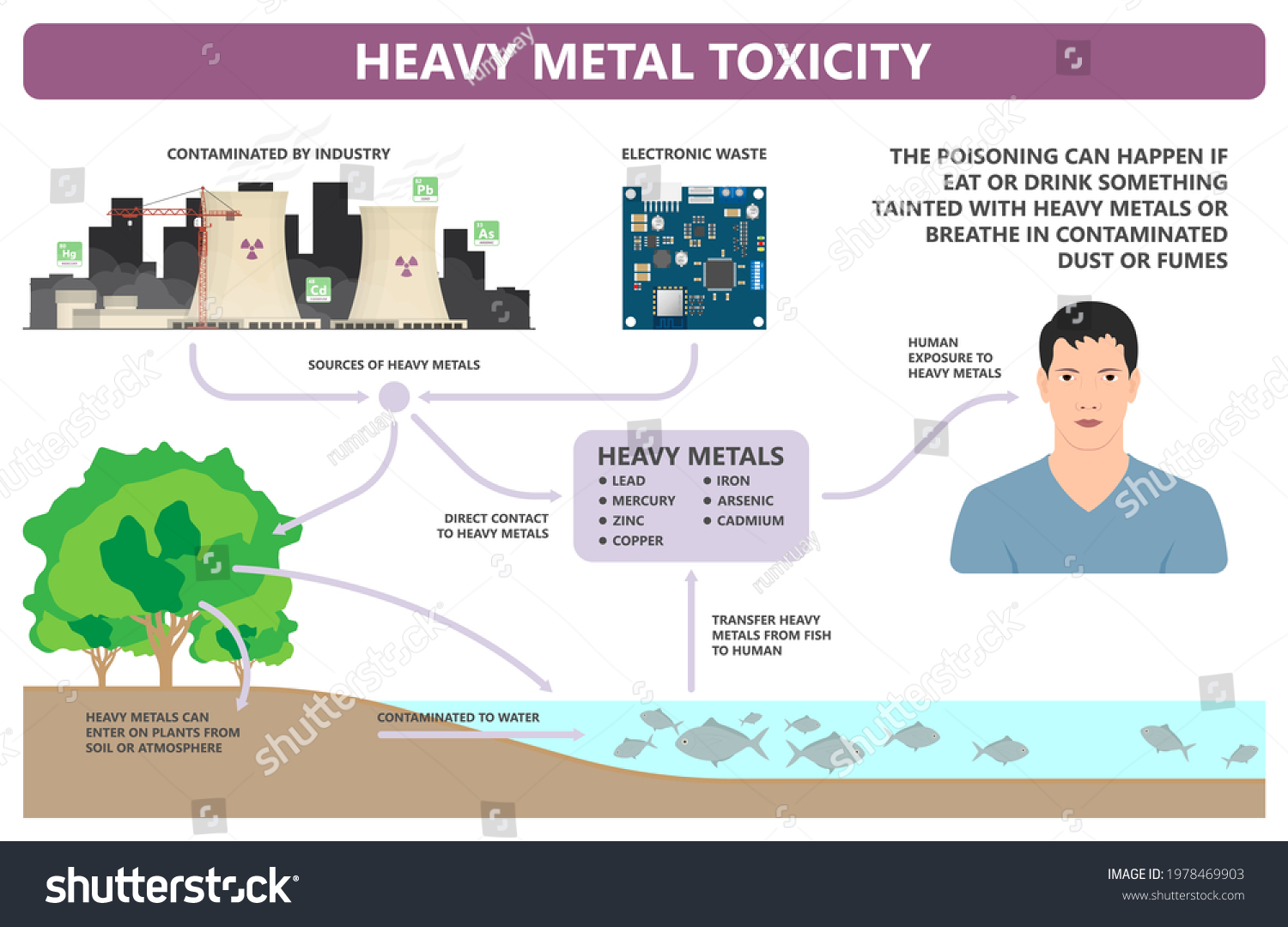 2,484 Heavy Metal Poisoning Images, Stock Photos & Vectors | Shutterstock