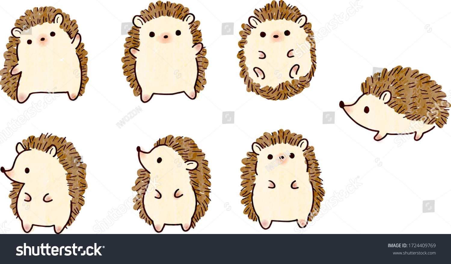 How to draw a cute cartoon hedgehog