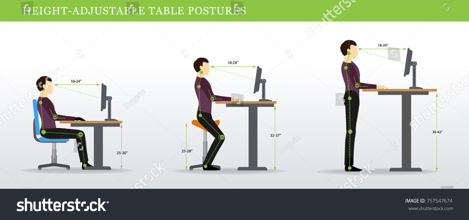 Height Adjustable Standing Desks Correct Poses Stock Vector