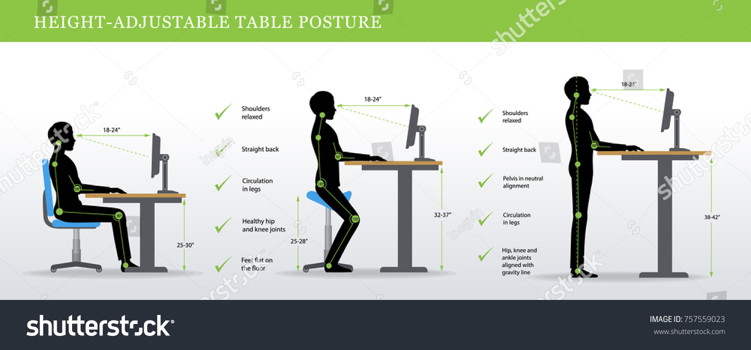 Height Adjustable Standing Desks Correct Poses Stock Vector