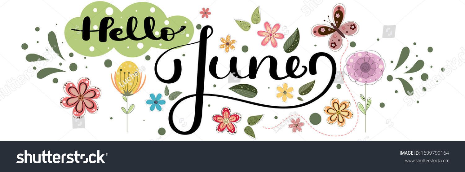 Hello June June Month Vector Flowers Stock Vector (Royalty Free) 1699799164