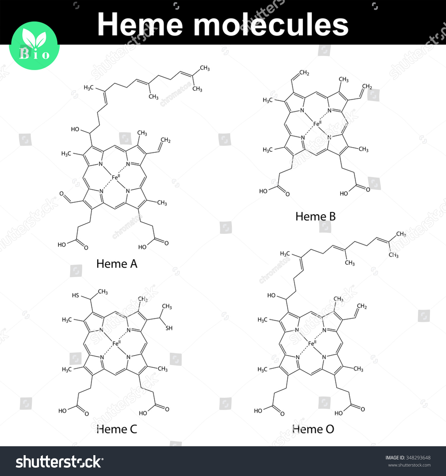 Heme Molecule Structural Chemical Formulas B: Vetor Stock (livre De ...