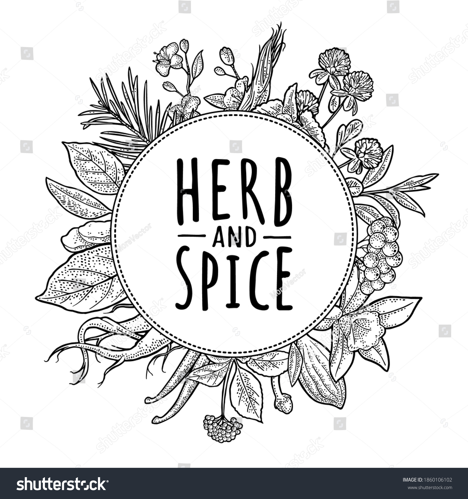 Herb Spice Handwriting Lettering Vector Vintage Stock Vector (royalty 