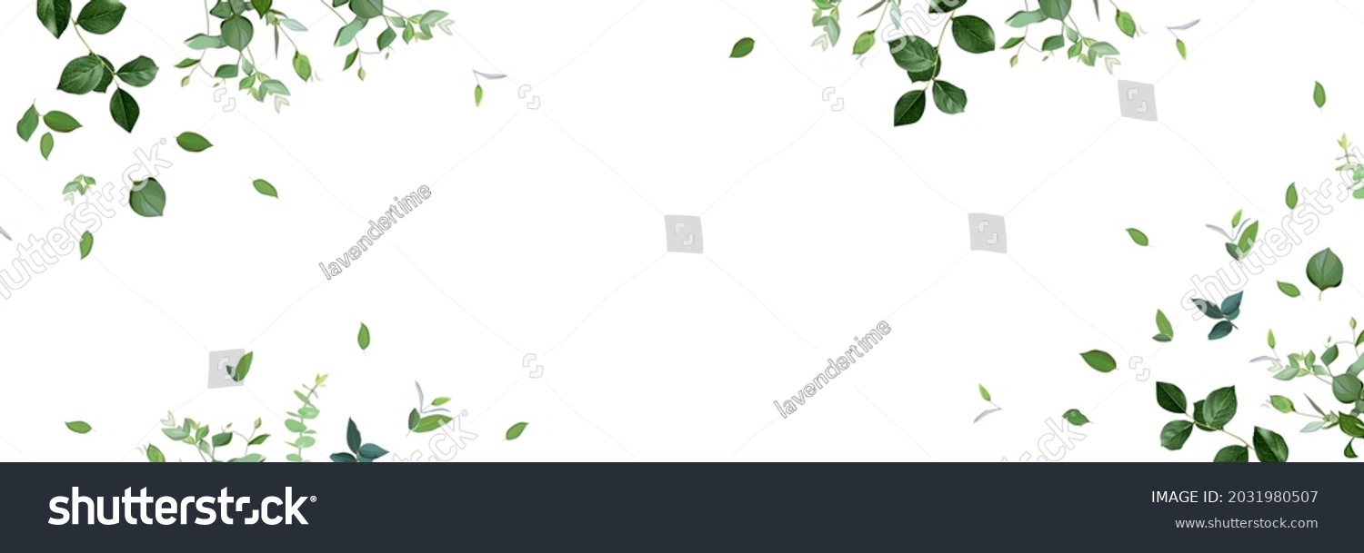 SVG of Herbal minimalist vector banner. Hand painted plants, branches, leaves on a white background. Greenery wedding simple horizontal template. Watercolor style card. All elements are isolated and editable svg