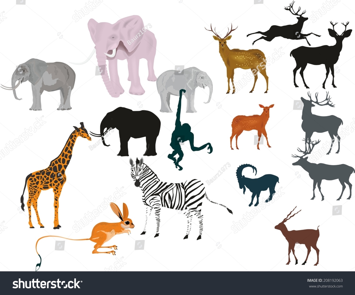 Herbivorous Animals Vector Set vector de stock (libre de regalías