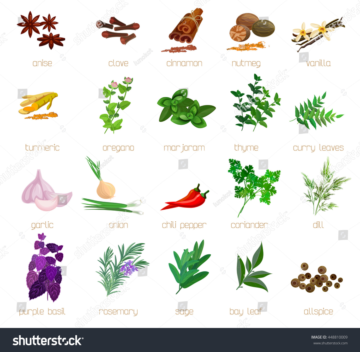 Herbs Spices Signed Names Big Set Stock Vector 448810009 ... on {keyword}
