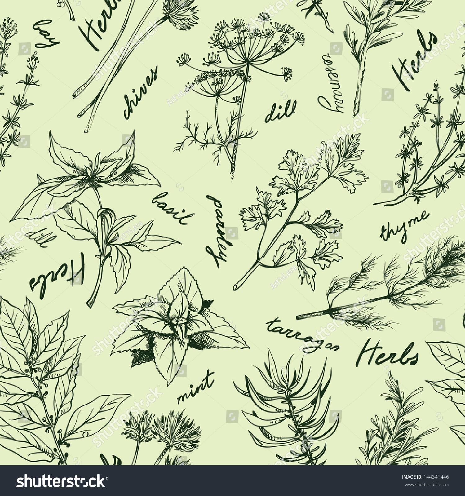 Herbs Pattern Stock Vector 144341446 - Shutterstock