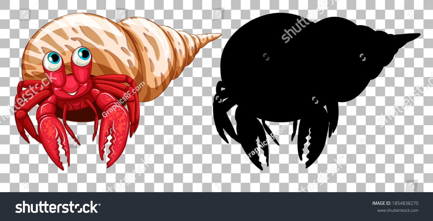 Hermit Crab Silhouette On Transparent Background Stock Vector Royalty