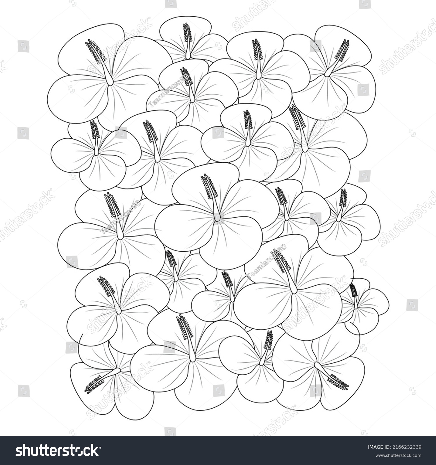 Hibiscus Flower Line Art Drawing Black Stock Vector (Royalty Free ...