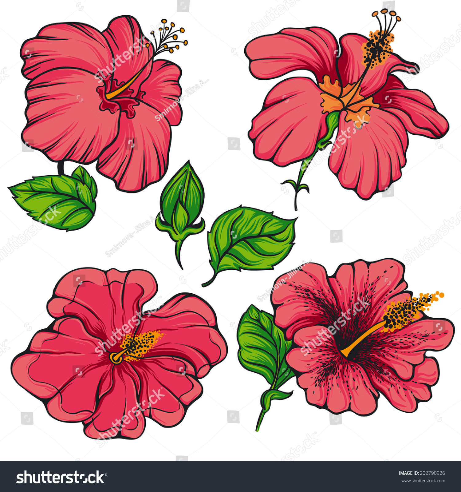 Hibiscus Flower Vector Stock Vector (Royalty Free) 202790926