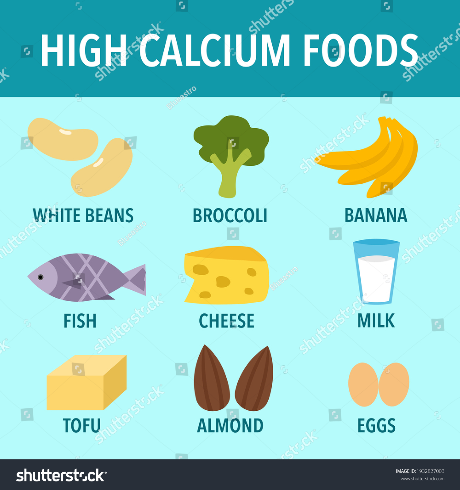 high-calcium-foods-infographic-vector-illustration-stock-vector