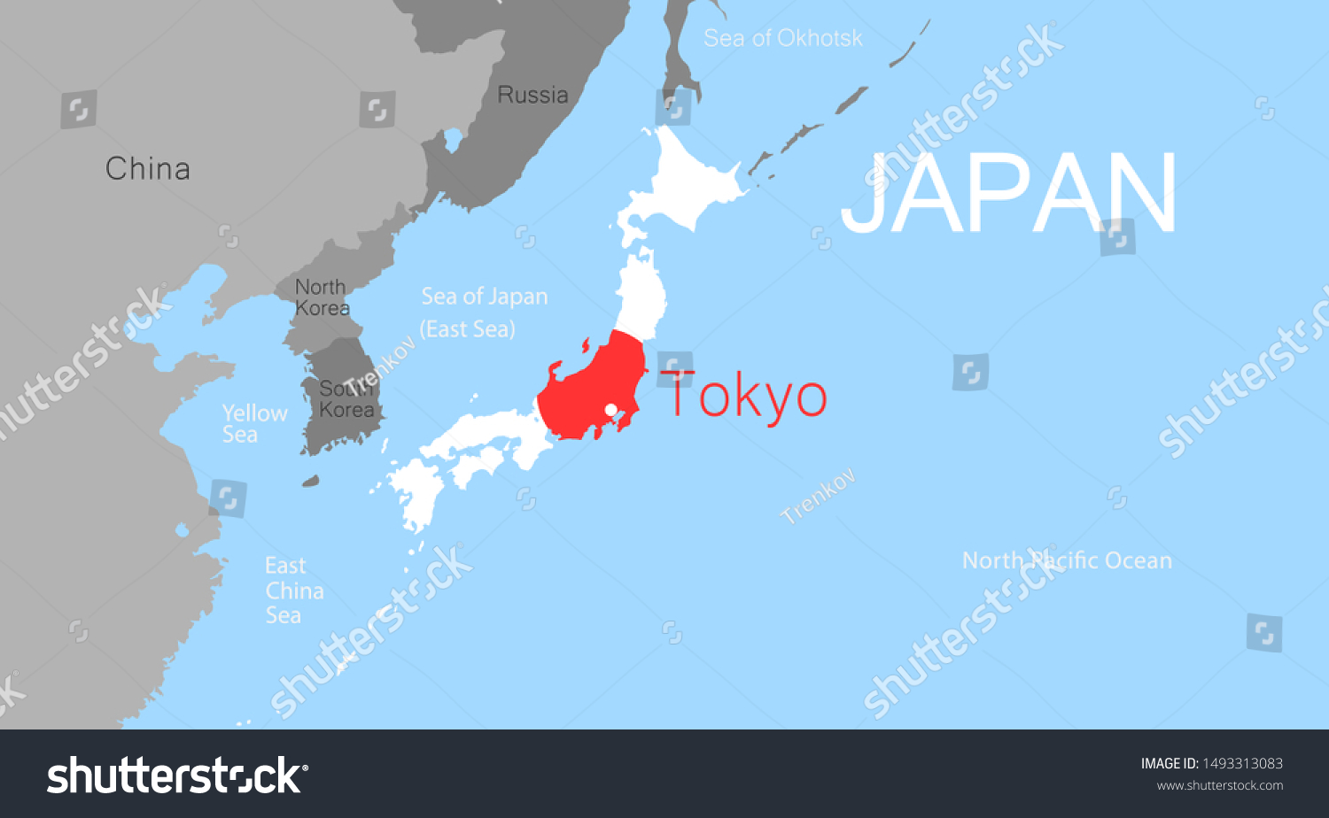 tokyo on a map High Detailed Vector Japan Capital Tokyo Stock Vector Royalty tokyo on a map