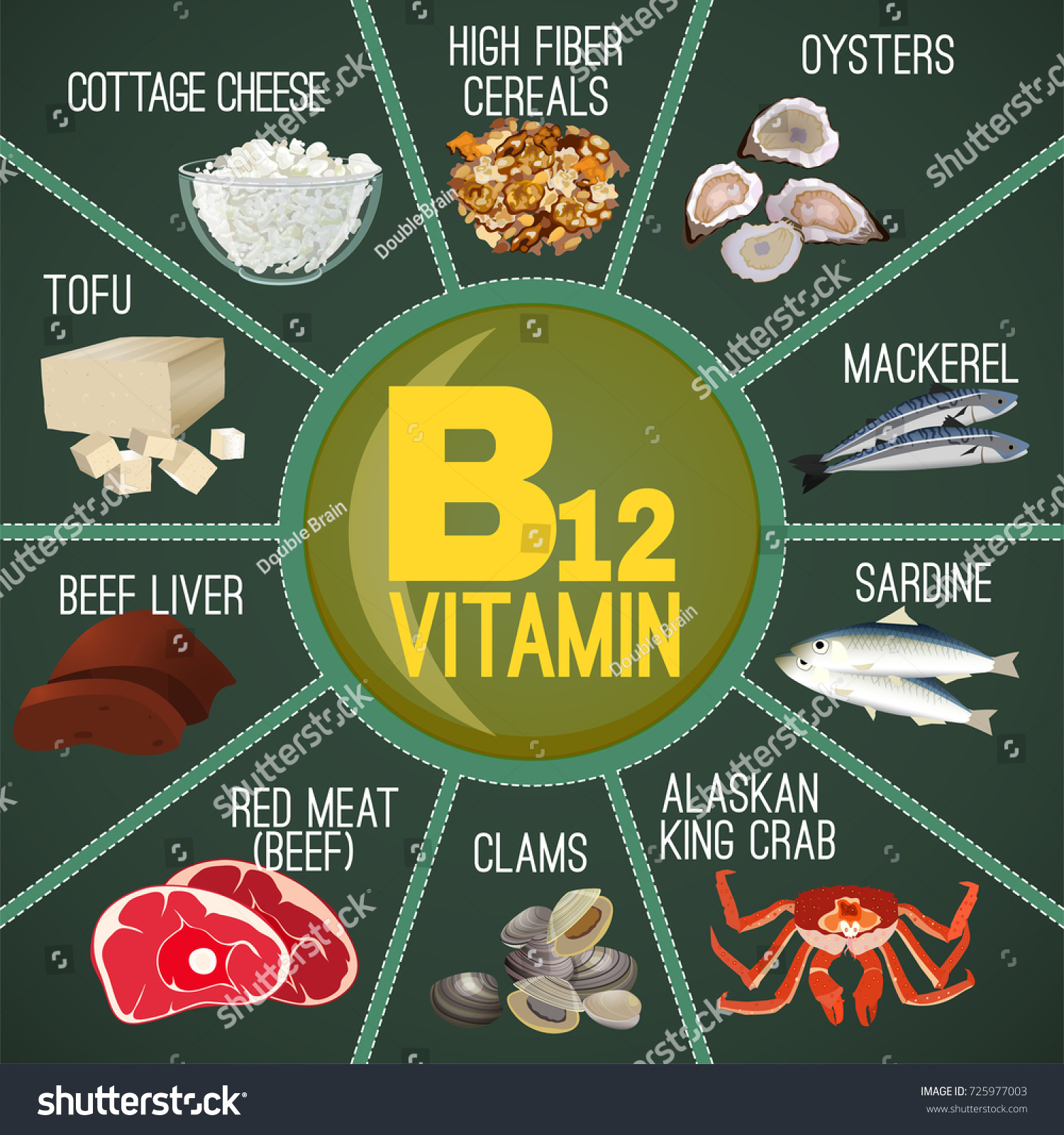 High Vitamin B12 Foods Healthy Seafood Stock Vector (Royalty Free ...