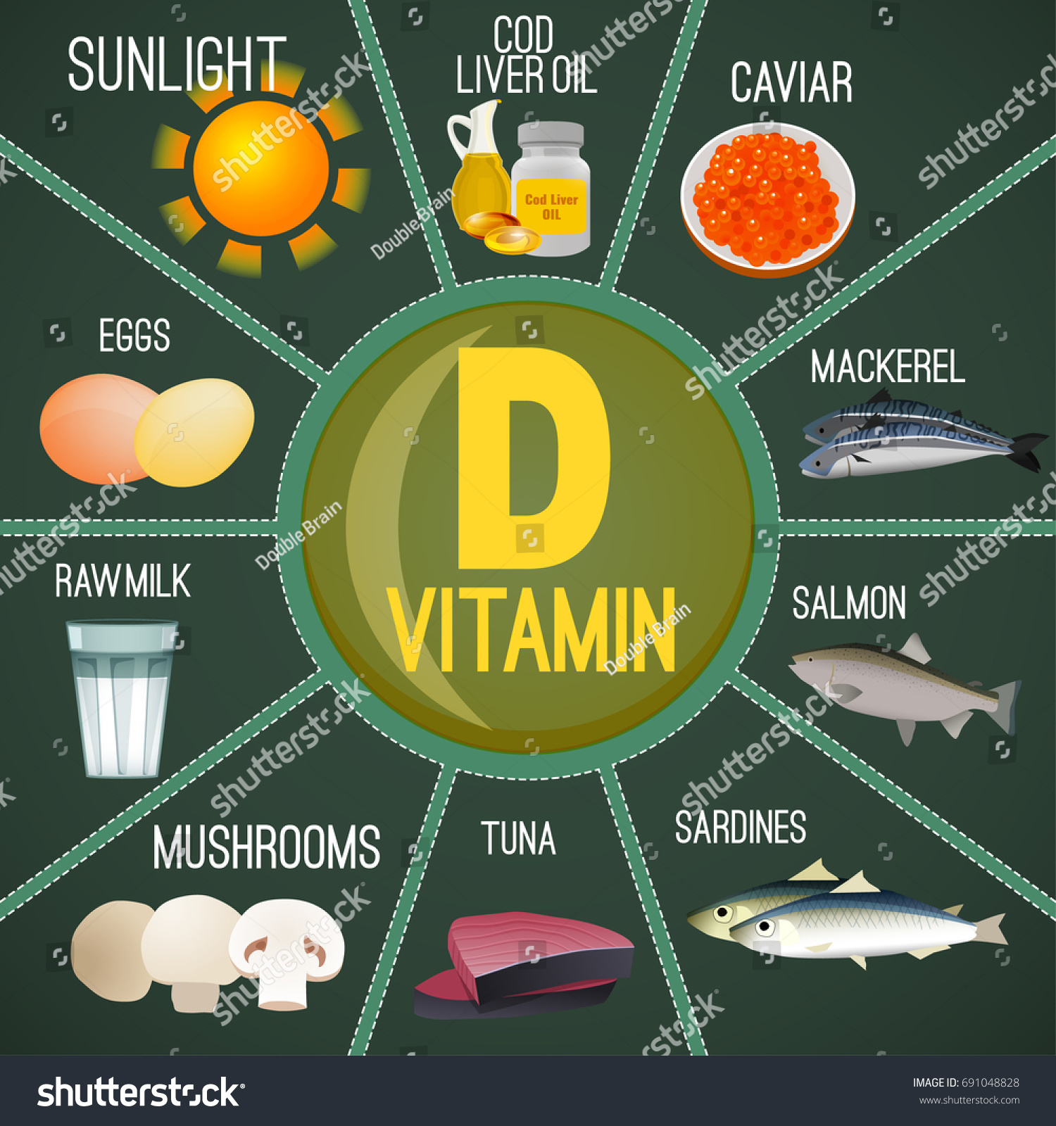 High Vitamin D Foods Healthy Dairy Stock Vector Royalty Free 691048828