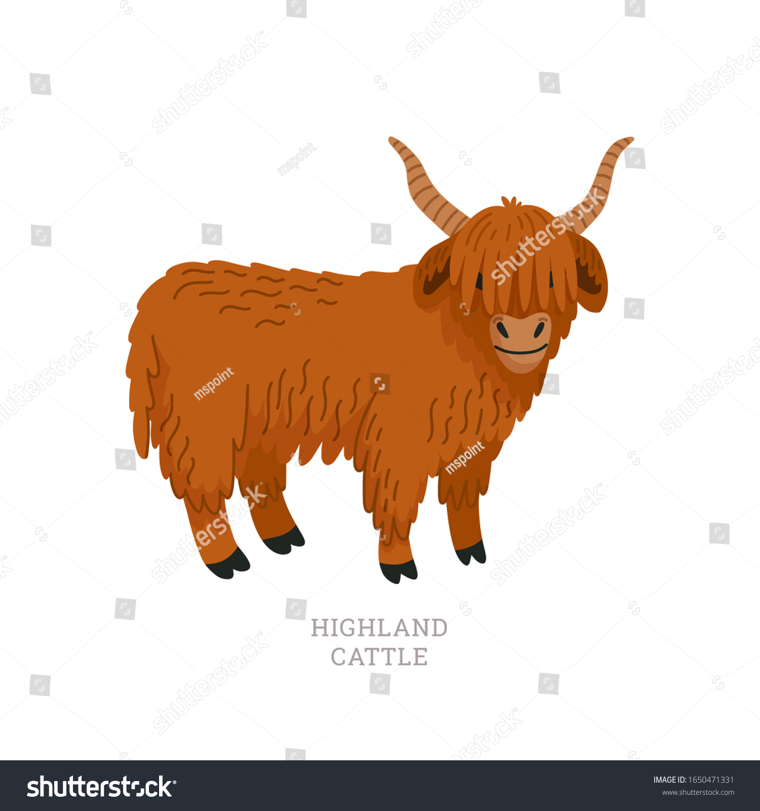 Heifer Please Longhair highland cow