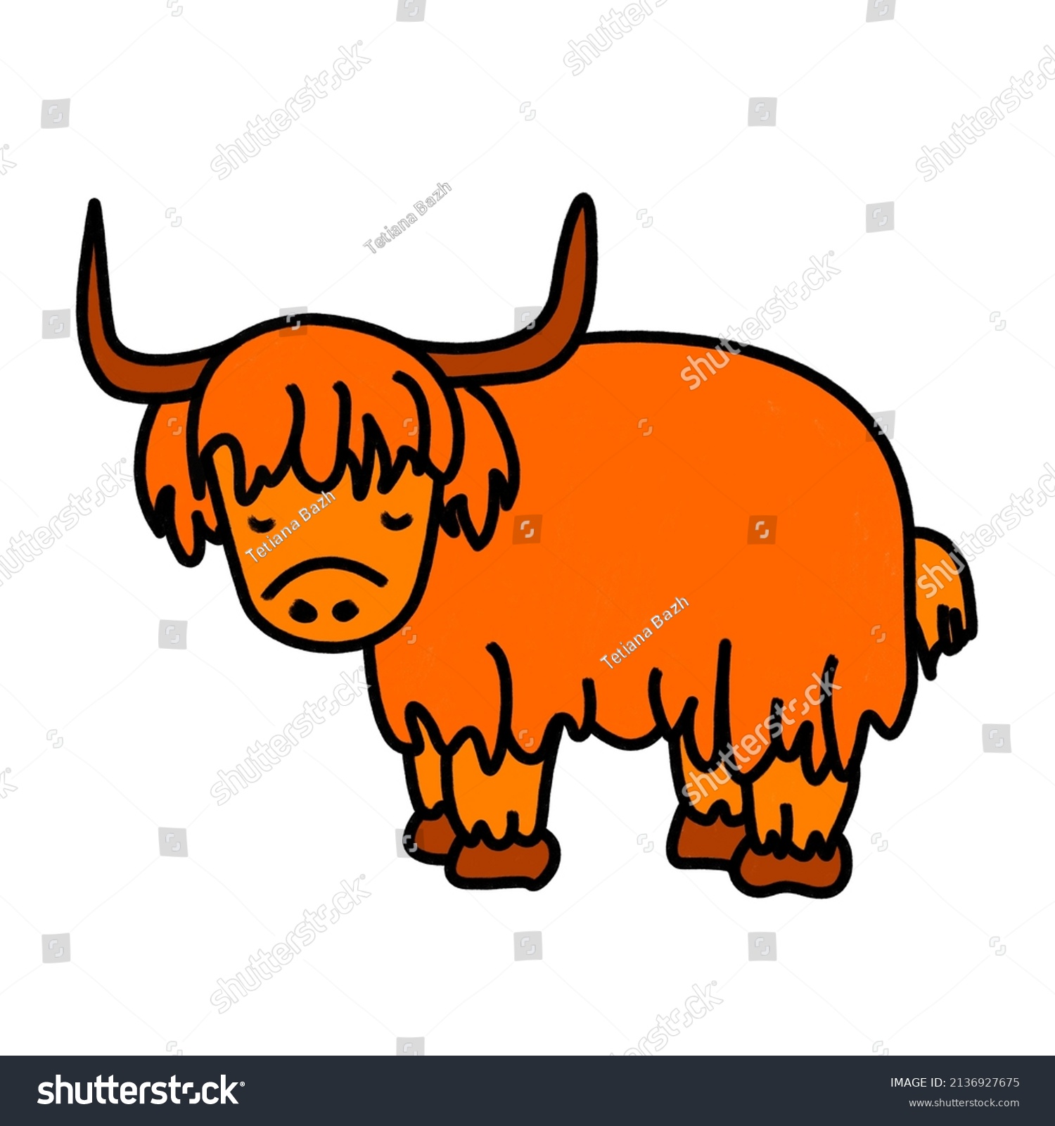 Highland Cattle Vector Line Colour Illustration Stock Vector (Royalty ...