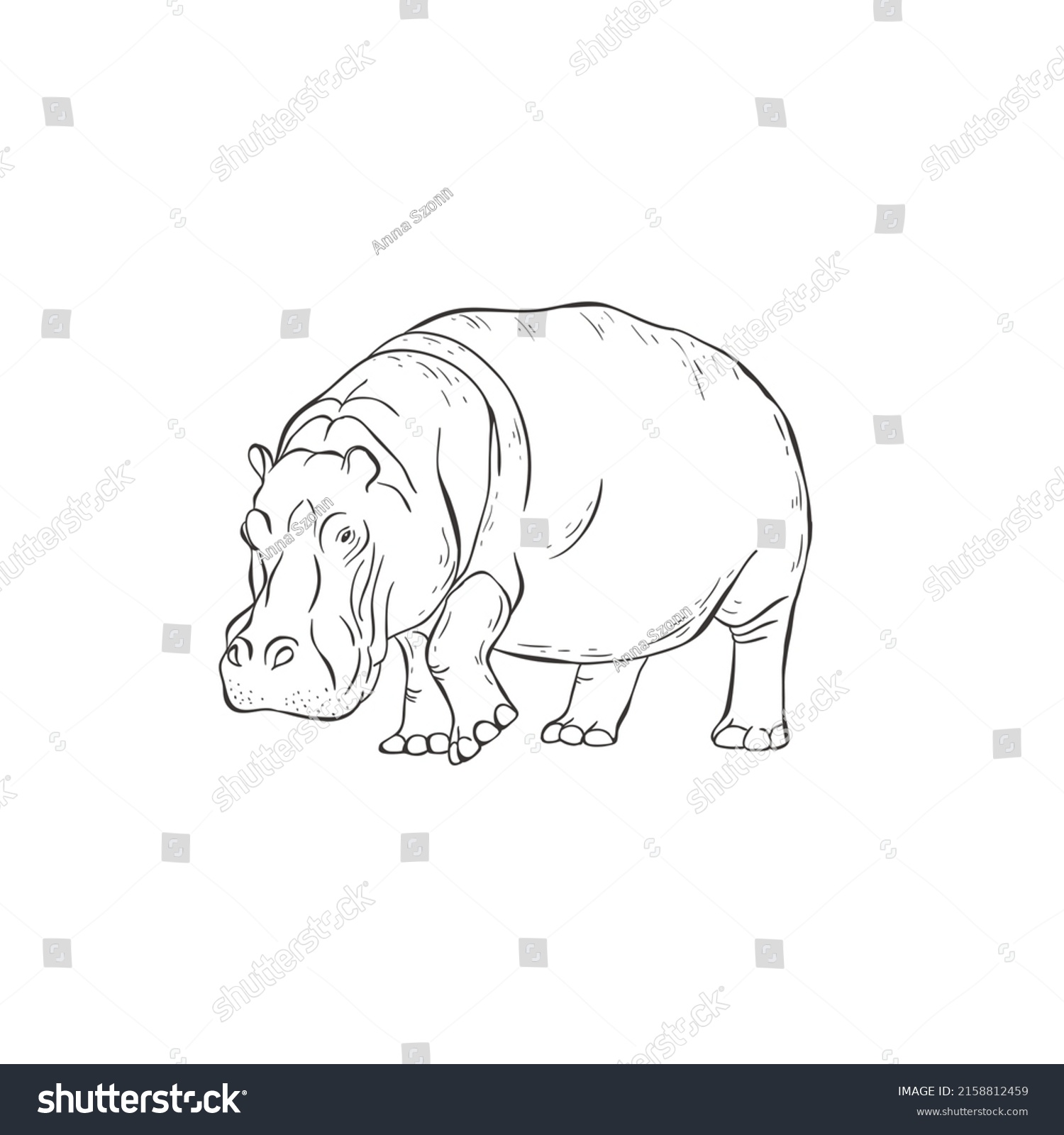 Hippo On White Background Vector Wild Stock Vector (Royalty Free ...