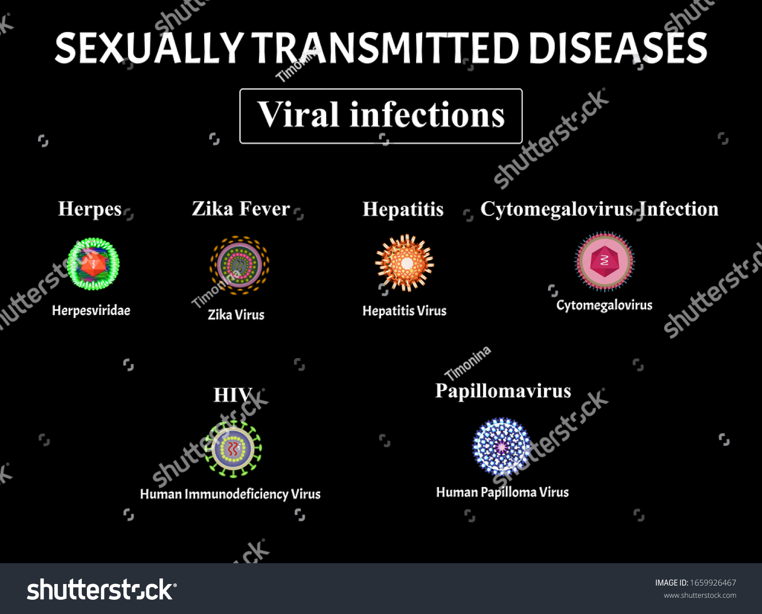 Hiv Herpes Papillomavirus Aids Hepatitis Cytomegalovirus Stock Vector ...