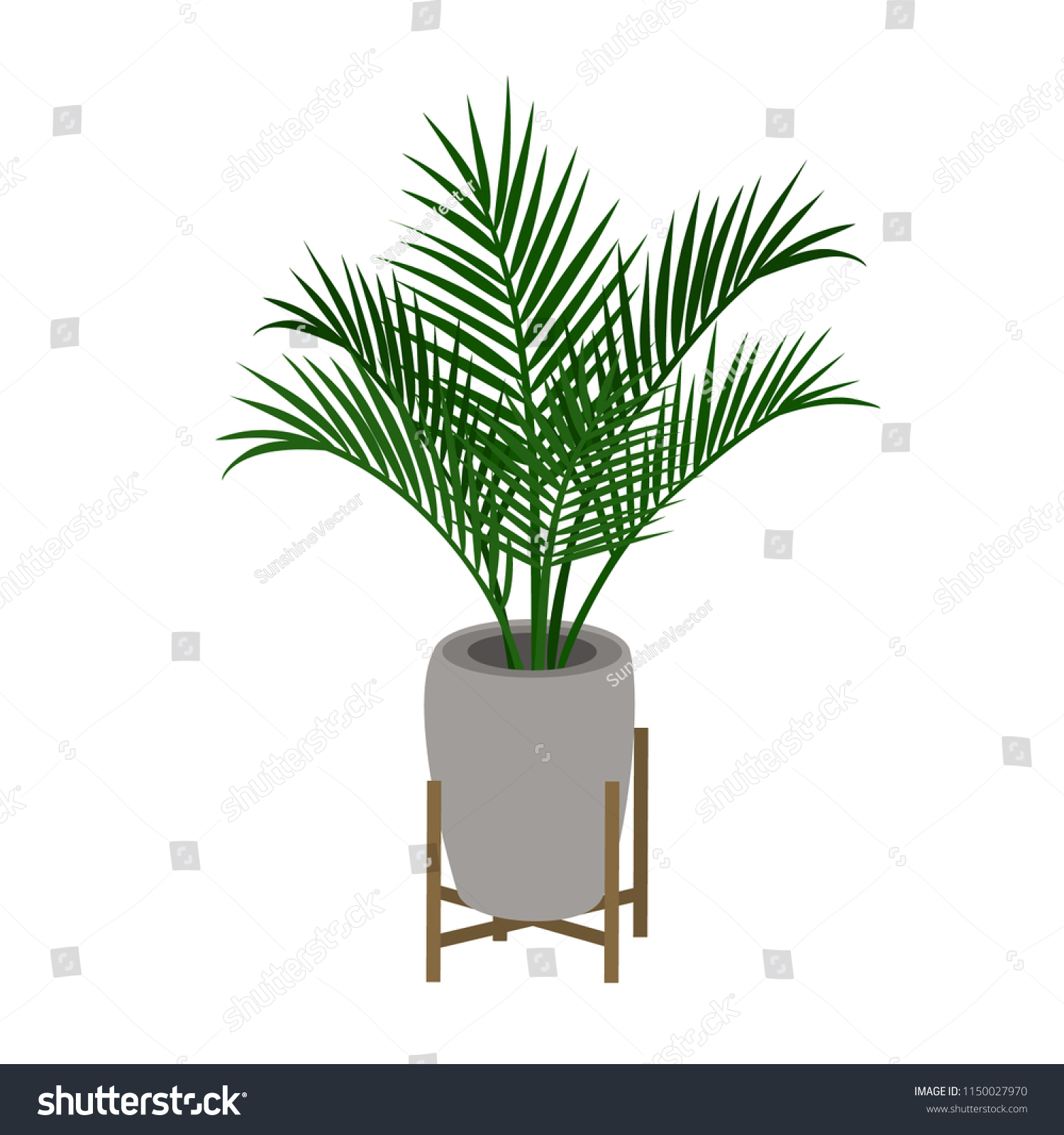 Home Indoor Palm Tree Houseplant In A Decorative Plant Stand Home Indoor Palm Tree Houseplant In A Decorative Plant Stand