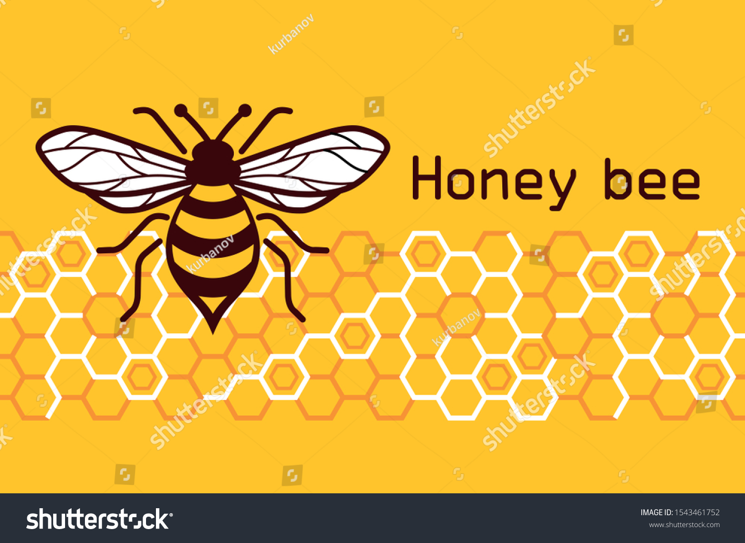 honey-bee-vector-image-vector-image-stock-vector-royalty-free