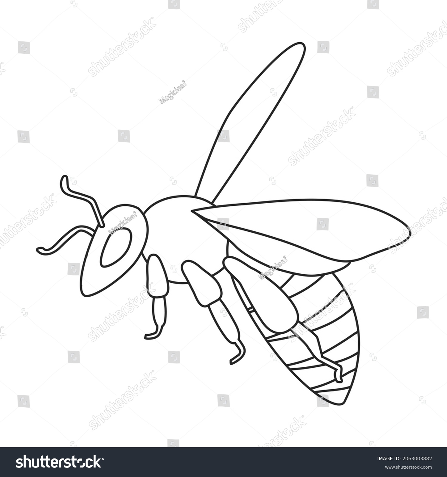 Honey Bee Vector Outline Icon Vector Stock Vector (Royalty Free) 2063003882