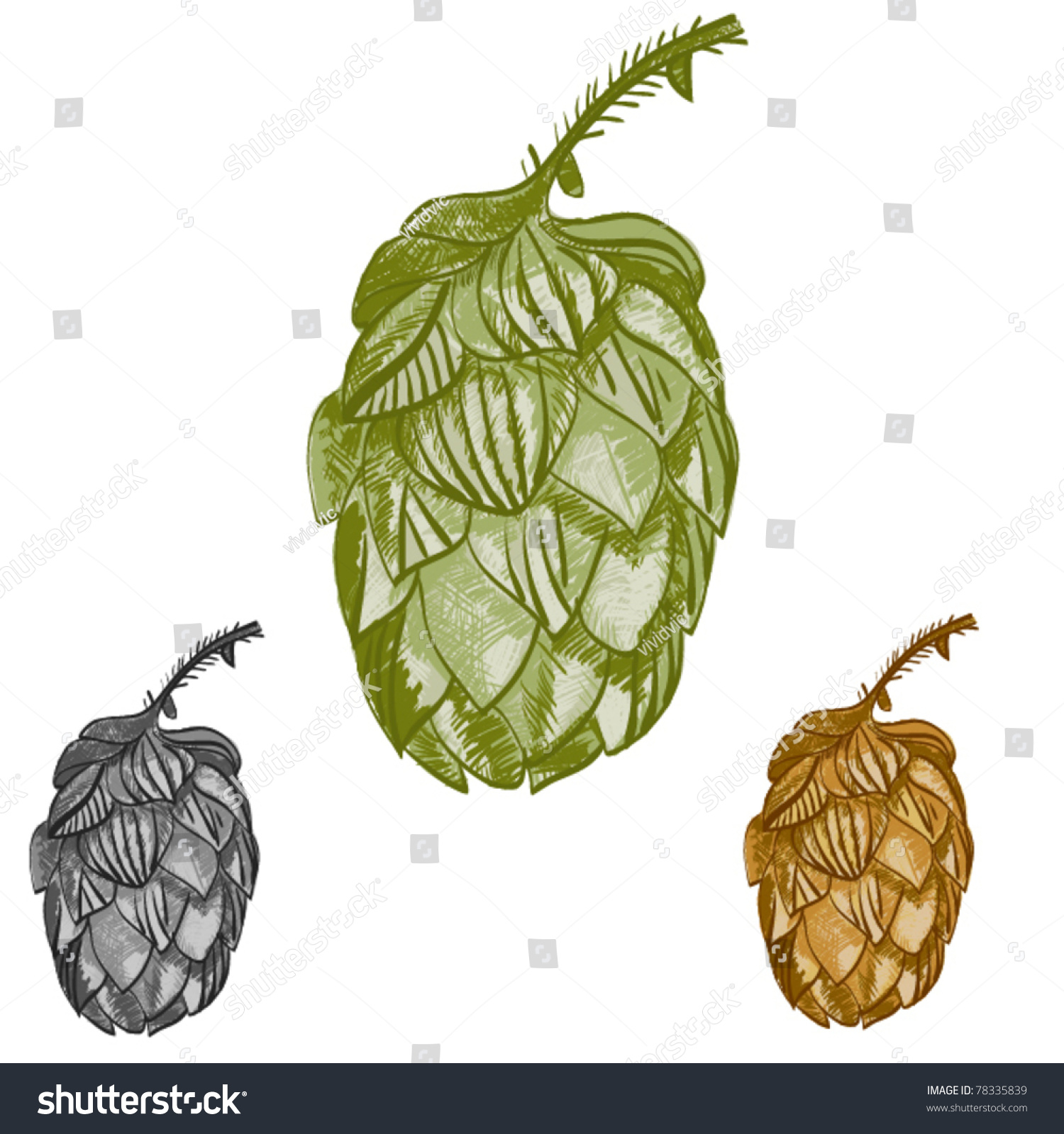 Phytotherapy: use of hop cones Phytotherapy: use of hop cones