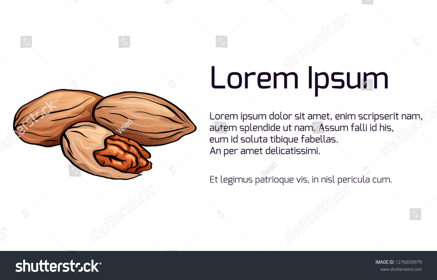 Horizontal Banner Illustration Colored Cartoon Pecan Stock Vector ...